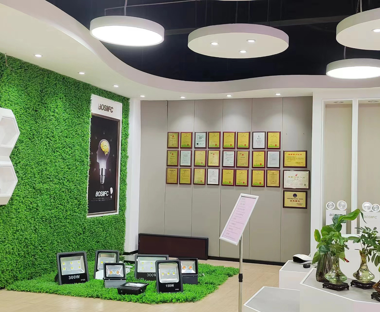 Çin Dongguan Lanjin Optoelectronics Co., Ltd. şirket Profili